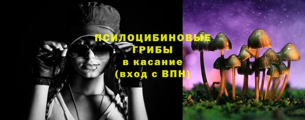 сатива Каменногорск