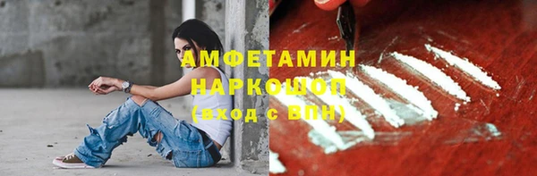 крисы Инсар