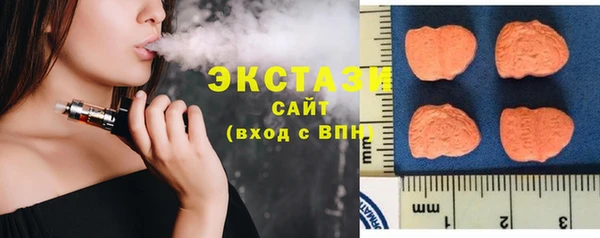 гидра Инта