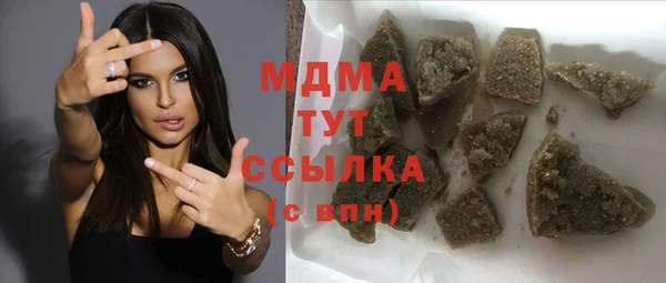 гидра Инта