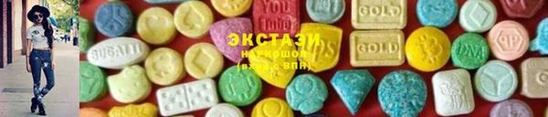 гидра Инта