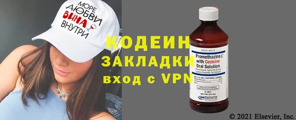 гидра Инта
