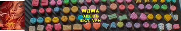 гидра Инта