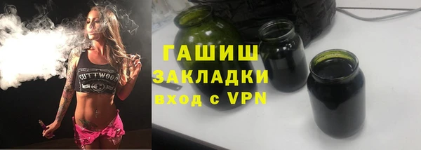 гидра Инта