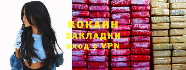гидра Инта