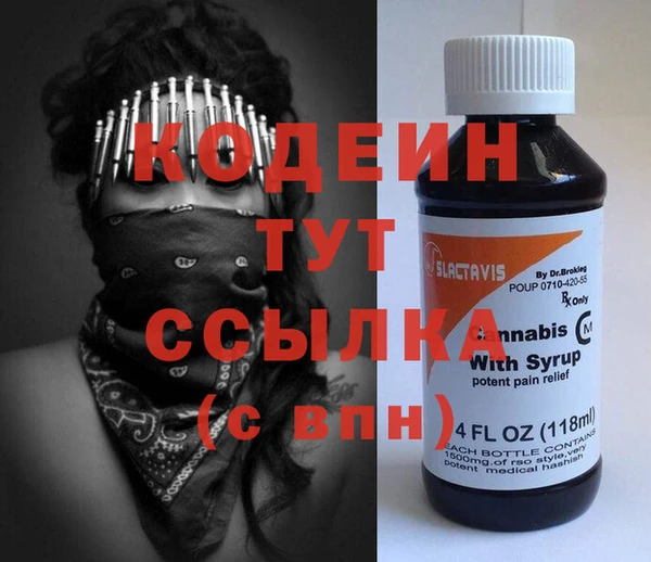 гидра Инта