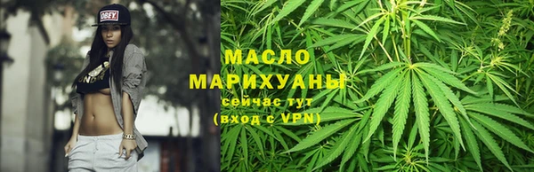 сатива Каменногорск