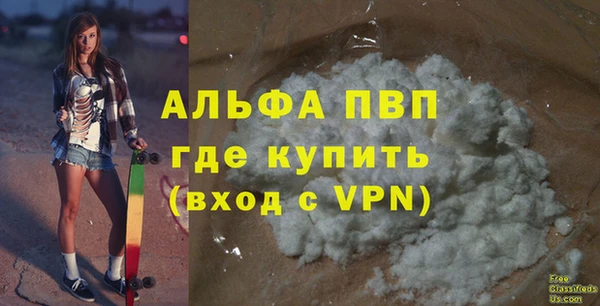 сатива Каменногорск