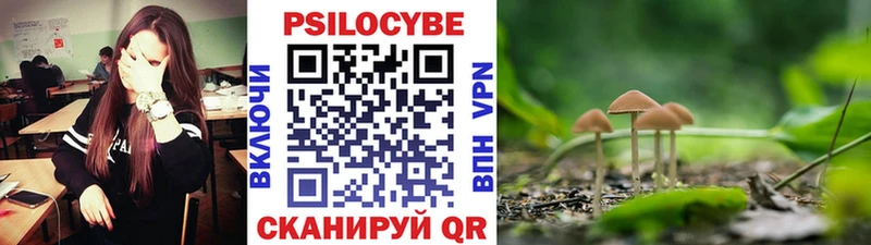 Купить  Карталы  Галлюциногенные грибы GOLDEN TEACHER 